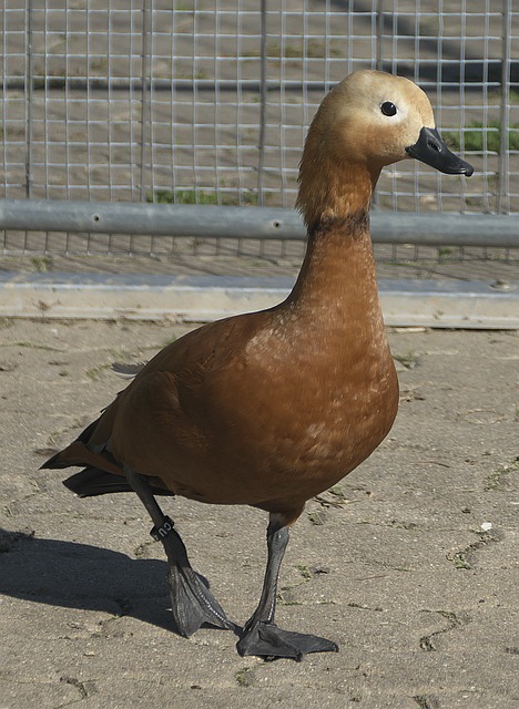 尤其是马宁
