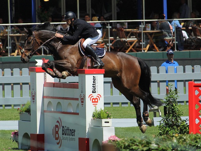 威廉姆森后 威廉姆森后