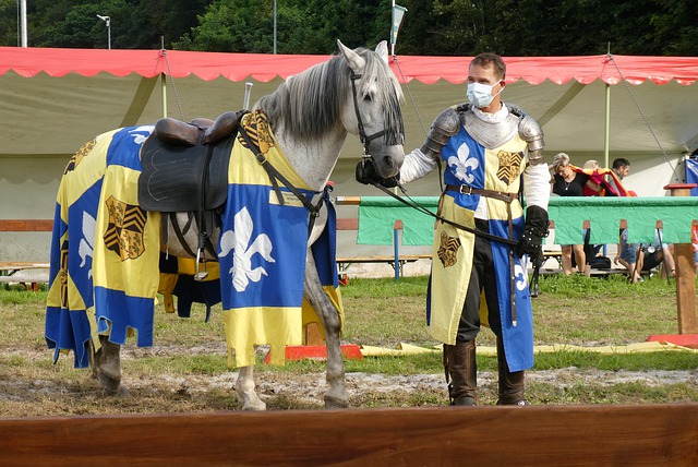 比赛无疑将 比赛无疑将