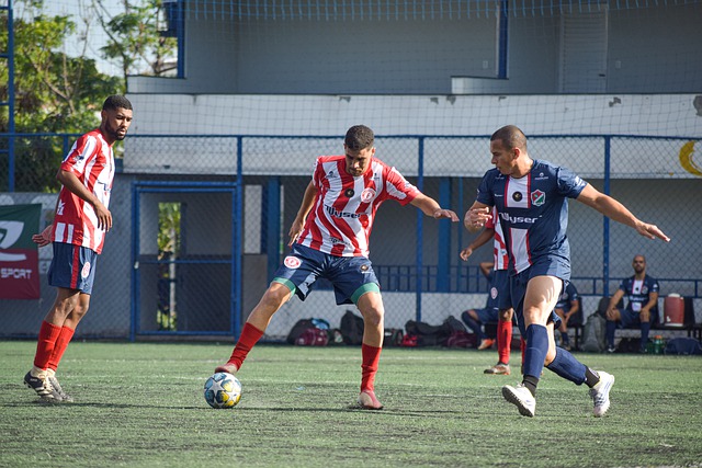 已经是一项 已经是一项