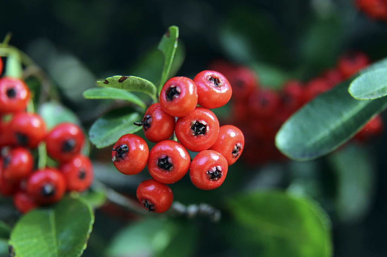 这不仅显示 这不仅显示